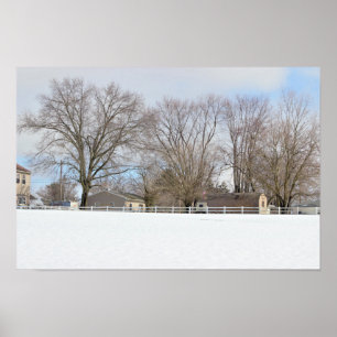 Winterland Poster