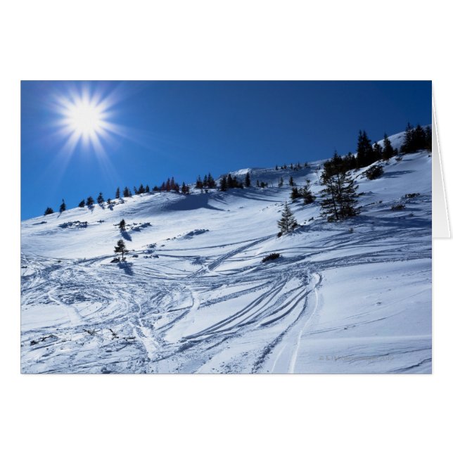 Winterland Winterzon (Voorkant Horizontaal)