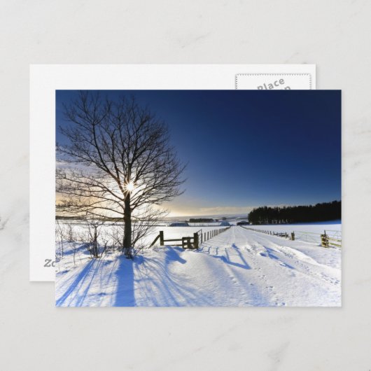 Winterlandschap Briefkaart (Voorkant / Achterkant)