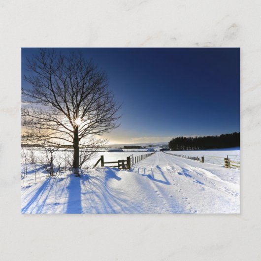 Winterlandschap Briefkaart (Voorkant)