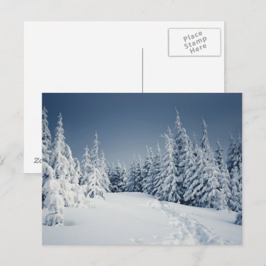 Winterlandschap Briefkaart (Voorkant / Achterkant)