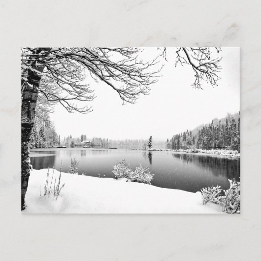 winterlandschap briefkaart (Voorkant)