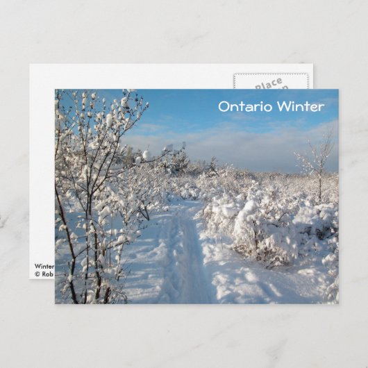 Winterlandschap - Briefkaart (Voorkant / Achterkant)