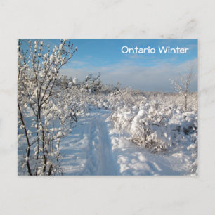 Winterlandschap - Briefkaart