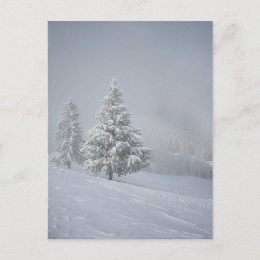 Winterlandschap Briefkaart (Voorkant)