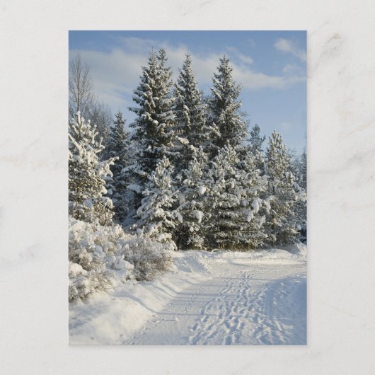 Winterlandschap Briefkaart (Voorkant)