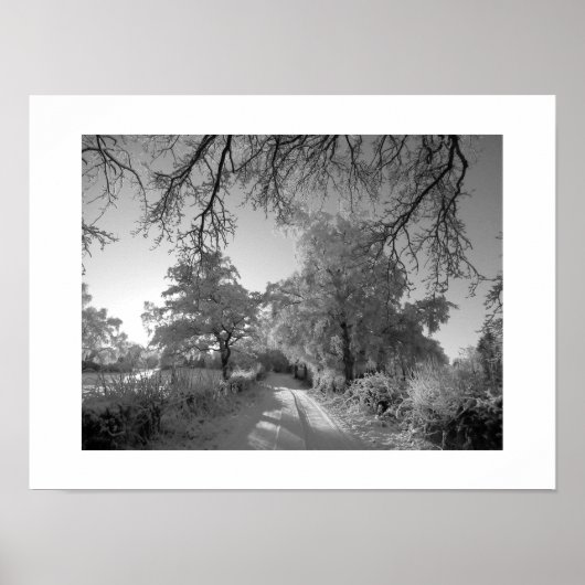 Winterlandschap: Cheshire Poster (Voorkant)