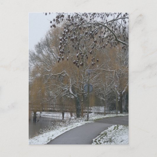 Winterlandschap doe-het-zelf ansichtkaart feestdagenkaart (Voorkant)