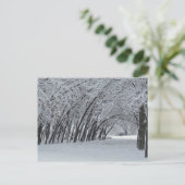 Winterlandschap Foto  Ansichtkaart Briefkaart (Staand voorkant)