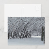 Winterlandschap Foto  Ansichtkaart Briefkaart (Voorkant / Achterkant)