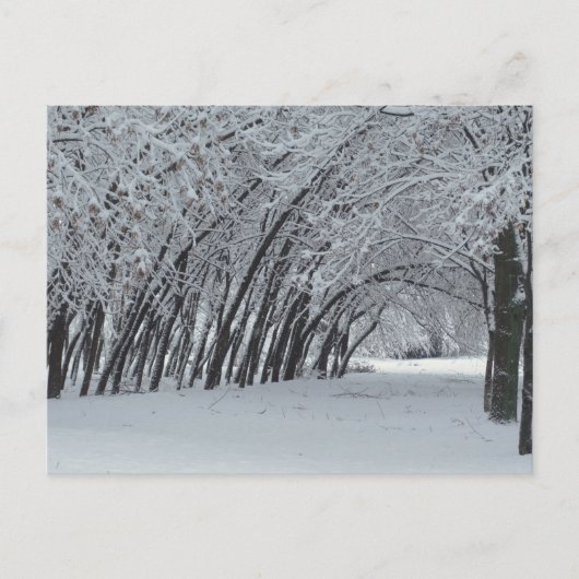 Winterlandschap Foto  Ansichtkaart Briefkaart (Voorkant)