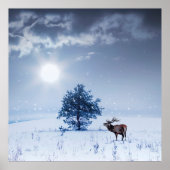 Winterlandschap in blauwe kleur. Eenzame boom en w Poster (Voorkant)