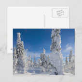 Winterlandschap in Lappland Briefkaart (Voorkant / Achterkant)