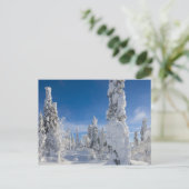 Winterlandschap in Lappland Briefkaart (Staand voorkant)