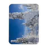 Winterlandschap in Lappland Magneet (Verticaal)