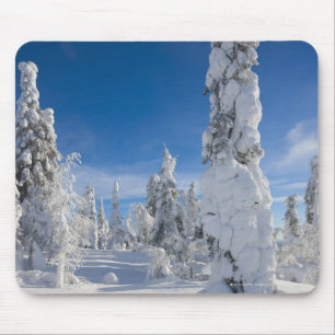 Winterlandschap in Lappland Muismat