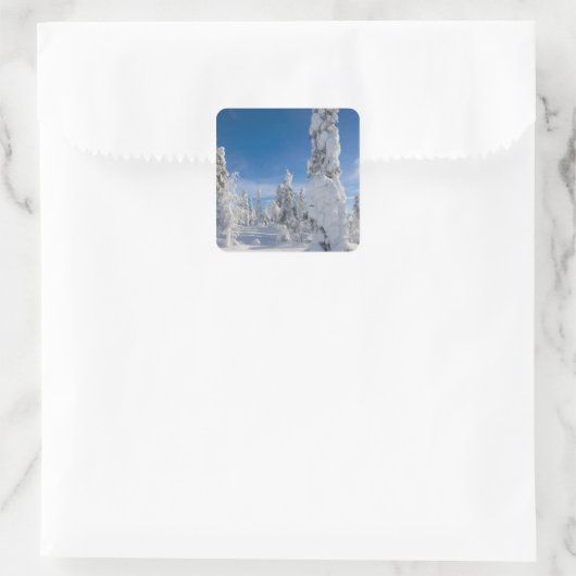 Winterlandschap in Lappland Vierkante Sticker (Tas)