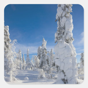 Winterlandschap in Lappland Vierkante Sticker