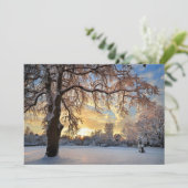 Winterlandschap in Letland (Staand voorkant)