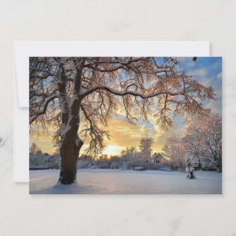 Winterlandschap in Letland