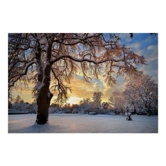 Winterlandschap in Letland Perfect Poster (Voorkant)