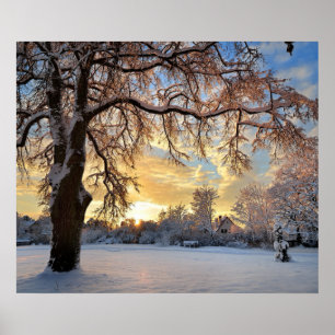 Winterlandschap in Letland Poster