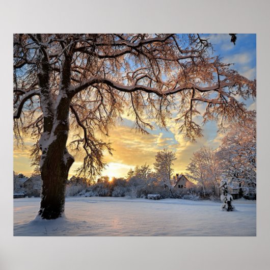 Winterlandschap in Letland Poster (Voorkant)