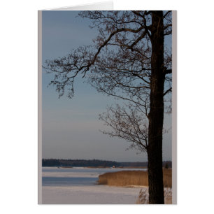 Winterlandschap met boom CC0370