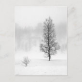 Winterlandschap met boom in mist briefkaart (Voorkant)