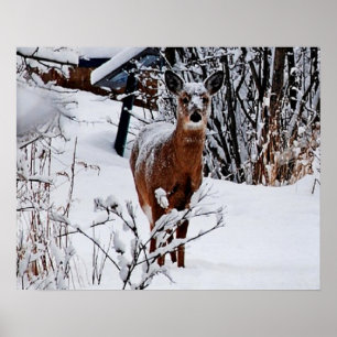 Winterlandschap met herten Poster Papier