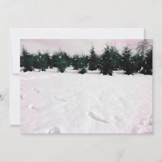 Winterlandschap met lariksen in de sneeuw  kaart (Voorkant)