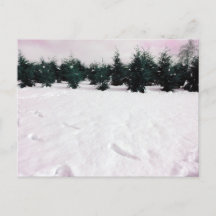 Winterlandschap met lariksen in de sneeuw vakantie