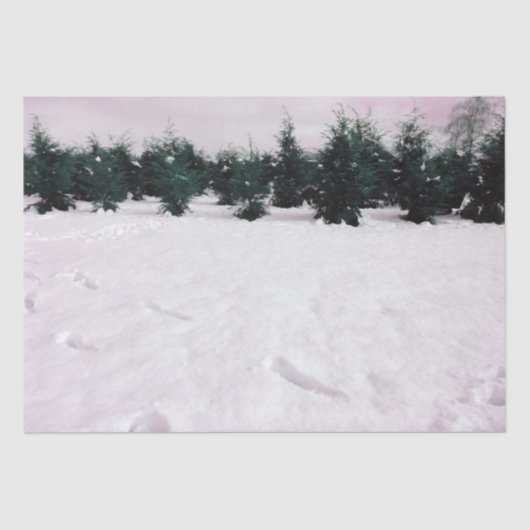 Winterlandschap met larven in de sneeuw tissuepapier (Voorkant)