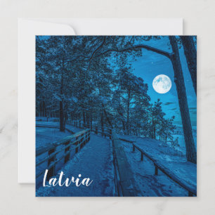 Winterlandschap met sneeuwbedekking met dennenbos