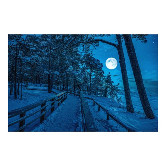 Winterlandschap met sneeuwbedekking met dennenbos foto afdruk (Voorkant)