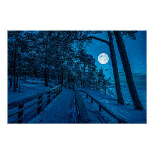 Winterlandschap met sneeuwbedekking met dennenbos perfect poster