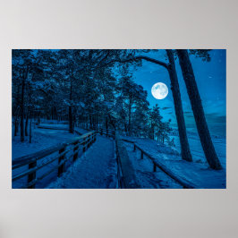 Winterlandschap met sneeuwbedekking met dennenbos poster