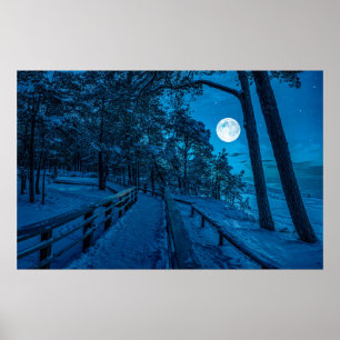 Winterlandschap met sneeuwbedekking met dennenbos poster