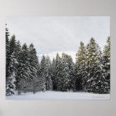 Winterlandschap nabij Koenigsfeld, zwart bos, Poster (Voorkant)