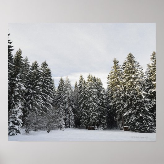 Winterlandschap nabij Koenigsfeld, zwart bos, Poster (Voorkant)