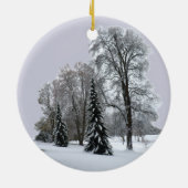 Winterlandschap Ornament sneeuwbomen (Achterkant)