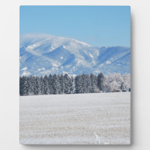 Winterlandschap van bomen, sneeuw en bergen fotoplaat