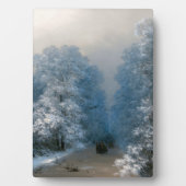 Winterlandschap van Ivan Aivazovsky Fotoplaat (voorkant)