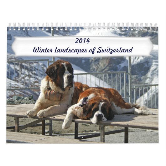 Winterlandschappen van Zwitserland Kalender (Hoes)