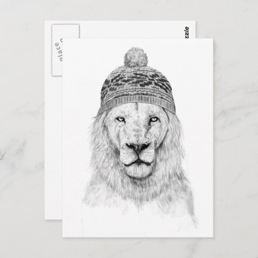 Winterleeuw (bw) briefkaart (Voorkant / Achterkant)