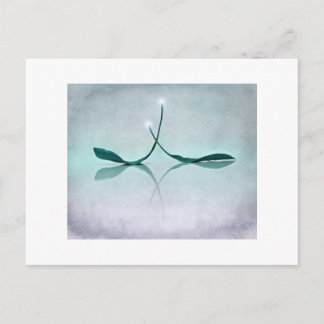 Winterlicht Briefkaart