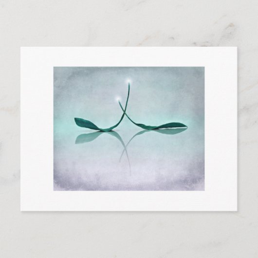 Winterlicht Briefkaart (Voorkant)