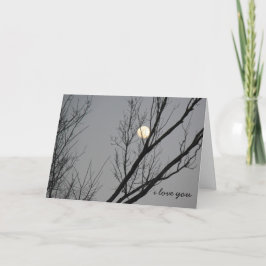 Wintermaan, ik hou van je naar de maan en terug kaart