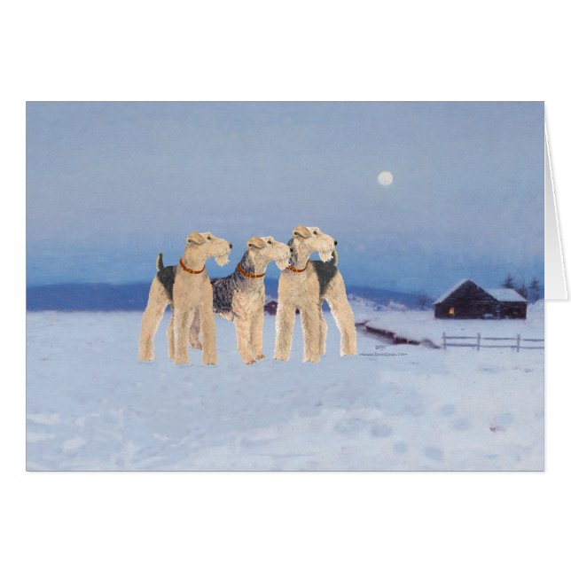 Wintermaanlicht (Voorkant Horizontaal)