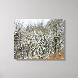 Wintermacclesfield-boskaart Canvas Afdruk